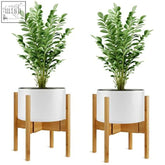 White ceramic flower pot holder with bamboo adjustable plant stand holding lush green leafy indoor plants