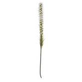 Fiori White Blazing Star Flower Stem