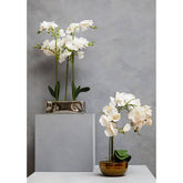 Fiori Artificial flowers White Orchid Plant in Gold Pot