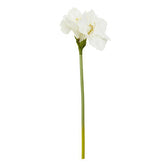 Fiori Ivory Amarylilis Flower Stem