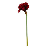 Fiori 72cm Amarylilis Burgundy Stem