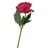 Fiori 65cm Peony Fuchsia Stem