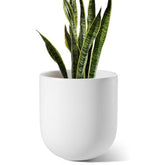 LE TAUCI 25 cm Plant Pot, Ceramic Pots for Plants with Drainage Holes and Rubber Plug, Plant Pots Indoor Outdoor for Home Garden Patio Office, Cylinder Flower Pot, White
