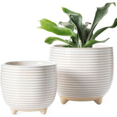LE TAUCI Ceramic Plant Pots, 12 + 16 cm Footed Pots for Plants, Cute Modern Flower Pots for House and Office, Small Indoor Planters with Drainage, Reactive Glaze White