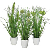 Klocke Dekorationsbedarf Artificial Plant - Grass in Pot - Pack of 3 - Height: 36 cm - Colour: Green - Artificial Grass / Table Decoration