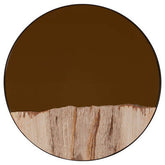 Relic Petrified Wood Tile Small Round Mirror