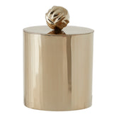 Amreli Vertical Textured Metallic Gold Finish Small Trinket Box