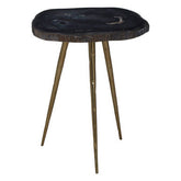 Relic Petrified Wood Top and Brass Finish Legs Side Table
