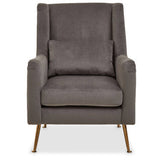 Doucet Grey Velvet Chair With Gold Finish Legs