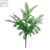 A vibrant dark green 55cm himalayan maidenhair fern bush with delicate feathery fronds and a slender stem
