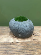 Indo Riverstone planted with Preserved Moss FR68