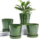 BUYMAX Plant Pots Indoor 5 inch Ceramic Flower Pot with Drainage Hole and Ceramic Tray - Gardening Home Desktop Office Windowsill Decoration Gift,