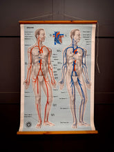 Vintage St John Ambulance Circulation Chart Soman-Wherry Norwich c.1950s