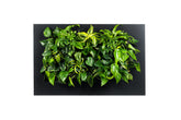 LIVE PICTURE - Living wall frame - 112cm - Black