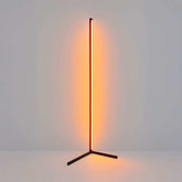 Ambient RGB Corner Floor Lamp