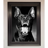 Angry Doberman Dog Framed Wall Art - A1 (59.4 x 84.1 cm) / Matt Black - Framed Print