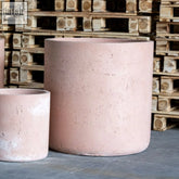 Aurella blushstone pigmented concrete cylinder planter in matte pink with textured finish and tapered sides for aesthetic appeal