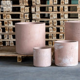 Aurella blushstone 85cm xxl blush pink pigmented concrete cylinder planter with a textured rustic finish and internal seal