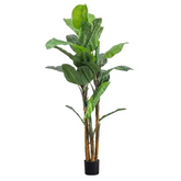 Banana Leaf Palm Tree 203cm - artificial tree