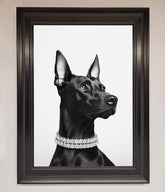 Black Doberman Diamond Neckless Framed Poster