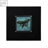 Butterfly 1 framed wall art featuring iridescent green and blue butterfly in a sleek black framed wall art piece