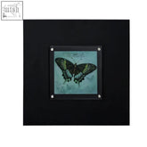 Black-framed wall art featuring a detailed dark green and black butterfly illustration on a teal background perfect for wall art