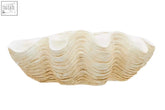 Byron large clam shell bowl in cream with textured ridges and smooth interior perfect as a large clam shell bowl