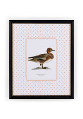 Duck I Framed Print - The Most Dashing Duck You'll Ever Hang on a Wall