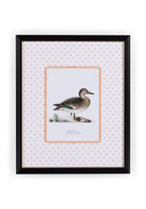 Duck II Framed Print - Utterly Adorable Wall Art