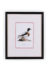 Duck IV Framed Print- The Prettiest By Far