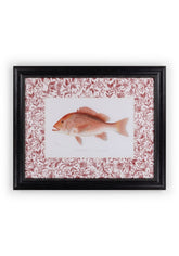 Fish Study I Vintage Character for Every Corner