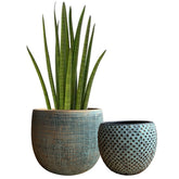A green snake plant in a textured earth-toned ceramic plant pot with a grid pattern from the ceramic green gold pot set