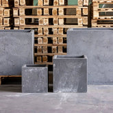 Gray concrete square planter with textured rustic finish in onyx dusk colourway perfect for compact greenery