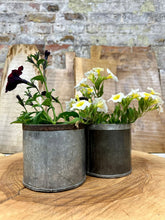Two rustic galvanized metal planters with dark purple and white yellow flowers for desk tidy or cutlery holder