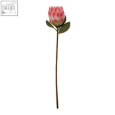 A fiori 62cm protea pink stem featuring a pink and white protea flower with green leaves on a slender brown stem