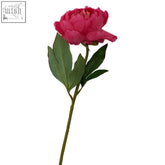 A vibrant fiori 65cm peony with lush fuchsia petals and glossy green leaves on a slender stem perfect for decor