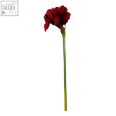 A single artificial red carnation with a slender green and yellow gradient stem from fiori 72cm amaryllis burgundy stem