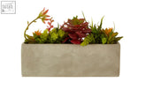 A rectangular cement pot filled with fiori mixed succulents in green red and orange in a light gray cement pot