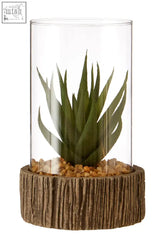 A clear glass terrarium with a green succulent and natural stone base in a faux wood holder