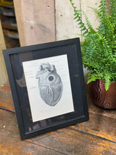 Black-framed anatomical heart illustration print from a 1920s medical book plate wall art picture