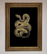 Golden Serpent Framed Wall Art