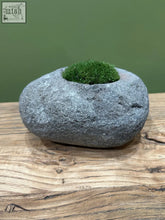 A smooth gray indo riverstone planted with vibrant preserved moss in its natural hollow for indoor decor