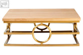 Jarloi coffee table with gold metal frame, light wood top, and circular geometric design perfect for stylish living rooms