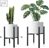 White cylindrical planters with black metal heavy duty plant stands holding different green leafy plants in mid century style