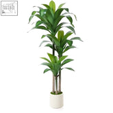 Tall multi-trunked kazeila artificial dracaena tree with glossy green leaves in a white ceramic pot for indoor decor