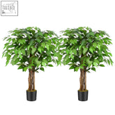 Two 3ft keeplush artificial ficus trees with lush green leaves and natural curved trunks in black pots for indoor decor