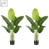 Two artificial bird of paradise banana tree plants with lush green gradient leaves in black pots for indoor decor