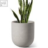 A sleek grey ceramic plant pot with drainage hole holding a vibrant snake plant perfect for plant pots indoor use