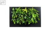 Lush green leafy plants in a modern black living wall frame planter 112cm perfect for indoor decor