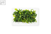 A lush living wall frame with dense artificial emerald and chartreuse leaves mounted on a white 112cm frame